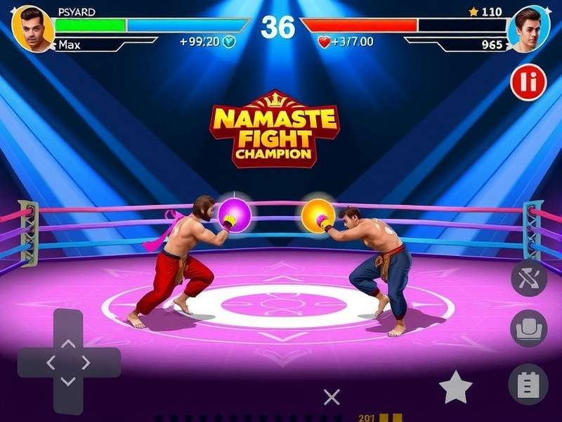 Namaste Fight Champion Tournament